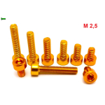 ZŁOTE ALUMINIOWE ŚRUBY DIN 912 M2,5